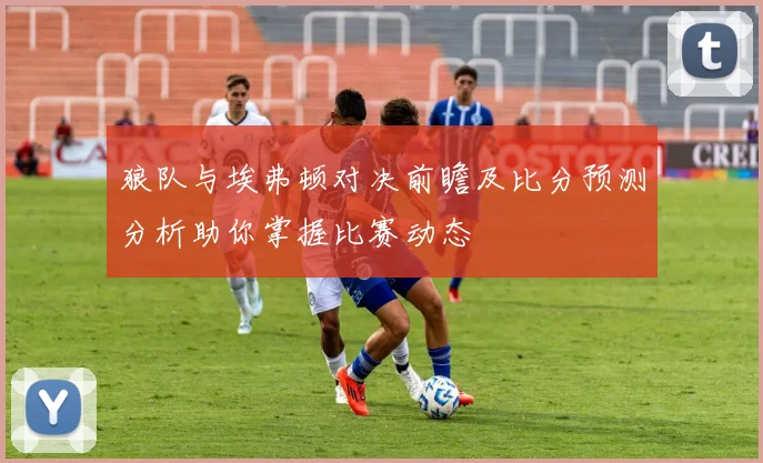狼队与埃弗顿对决前瞻及比分预测分析助你掌握比赛动态