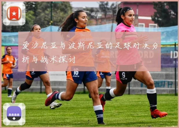 爱沙尼亚与波斯尼亚的足球对决分析与战术探讨