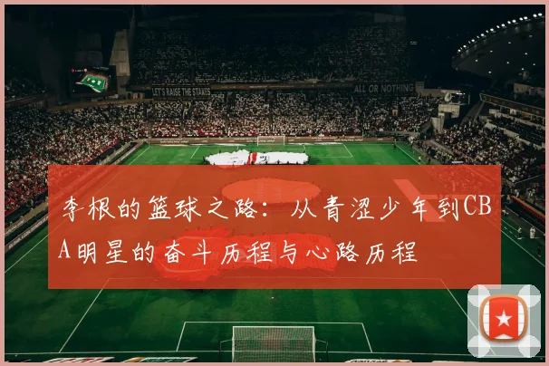 李根的篮球之路：从青涩少年到CBA明星的奋斗历程与心路历程