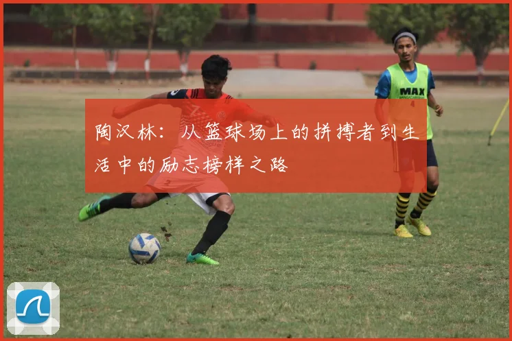 陶汉林：从篮球场上的拼搏者到生活中的励志榜样之路