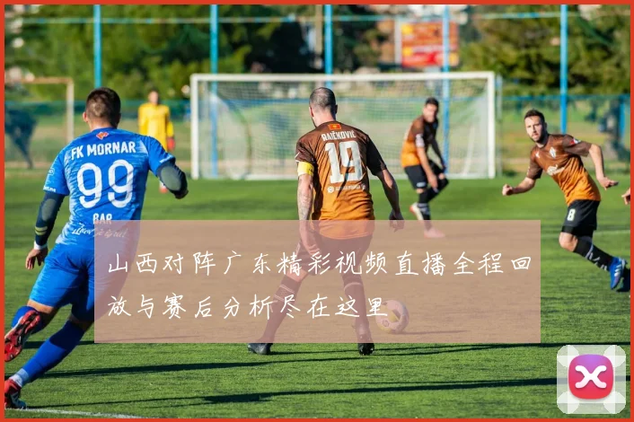 山西对阵广东精彩视频直播全程回放与赛后分析尽在这里